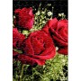 Puzzle roses rouges